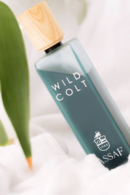 Wild Colt Astaff – وايلد كولت أستاف